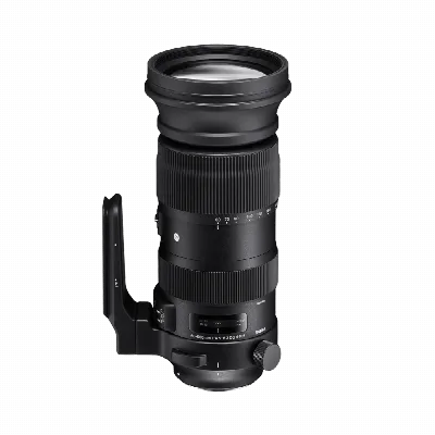 SIGMA 60–600mm F4.5–6.3 DG OS HSM – 2